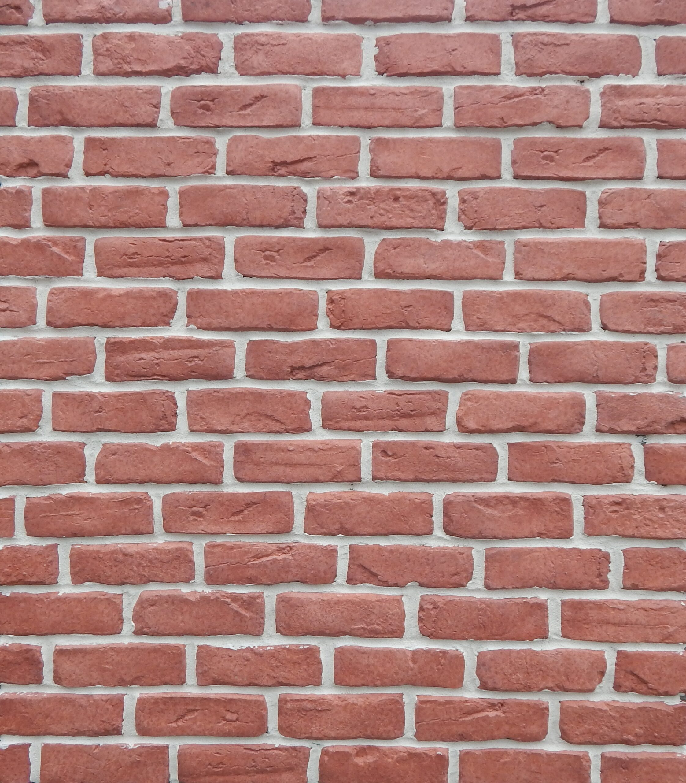 EN.BRICK-10-scaled-e1728639173984